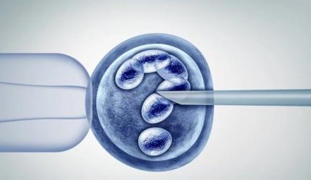 2026河北公立医院做三代试管费用明细一览