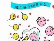 做了结扎手术可以在芒市试管医院做试管婴儿吗？费用是多少