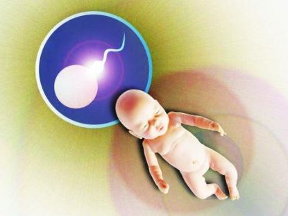 试管婴儿移植胚胎前做腹腔镜、宫腔镜重要吗？