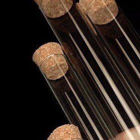 2026年无精去捷克做试管的成功率高吗？如何提升试管成功率