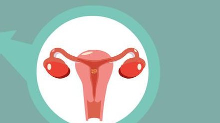 2026浙江金华口碑比较好的助孕公司名单