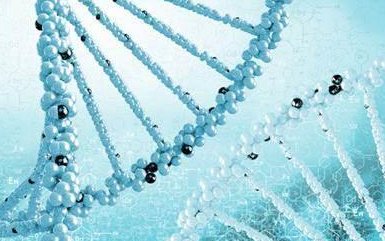 贵阳试管婴儿做好哪些检查能提高成功率