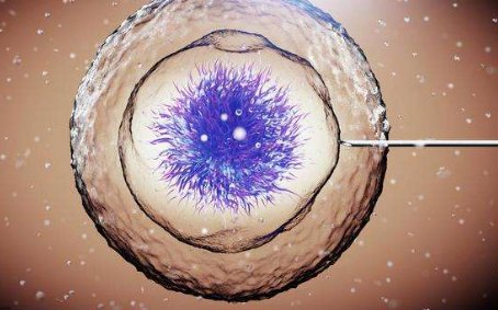 南京市妇幼人工授精成功率更新，另附2026助孕费用明细